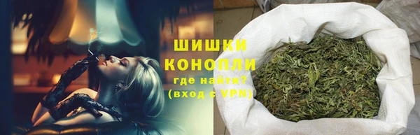 гашик Арсеньев