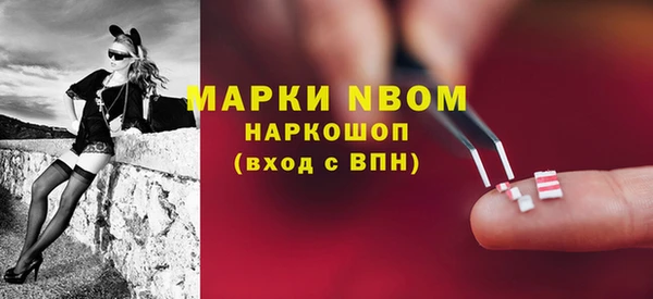 сатива Армянск