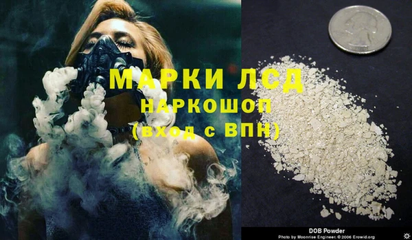 гашик Арсеньев