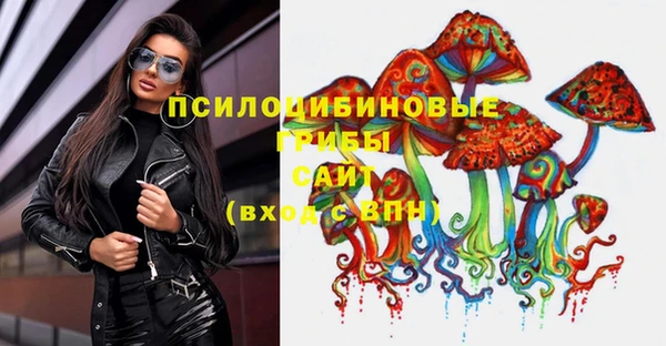 сатива Армянск